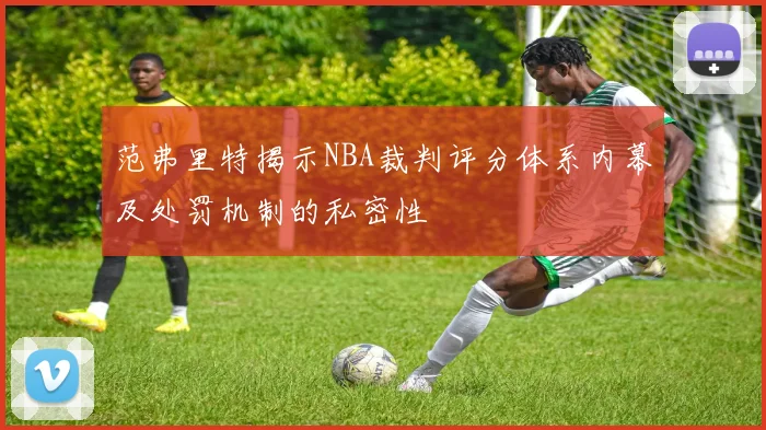 范弗里特揭示NBA裁判评分体系内幕及处罚机制的私密性