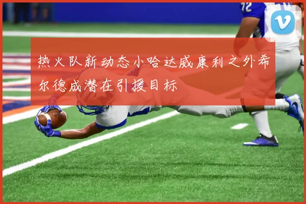 热火队新动态小哈达威康利之外希尔德成潜在引援目标